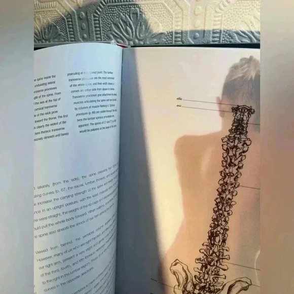 Anatomy for The  Artist Book by Sarah Simblet - Picture 13 of 16